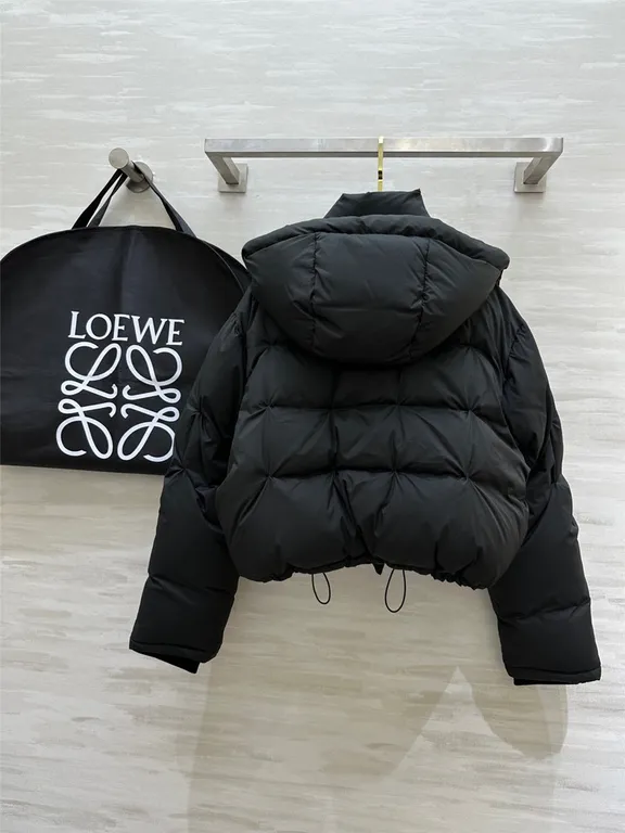 Loewe hooded down jacket